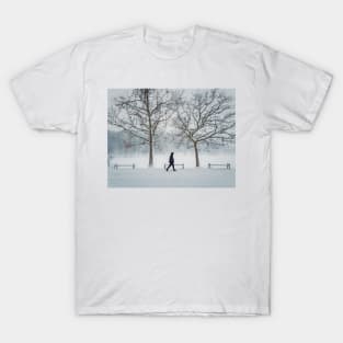 a walk in the park T-Shirt